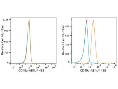 ABflo® 488 Rabbit anti-Human ITGA1/CD49a mAb (A22691)