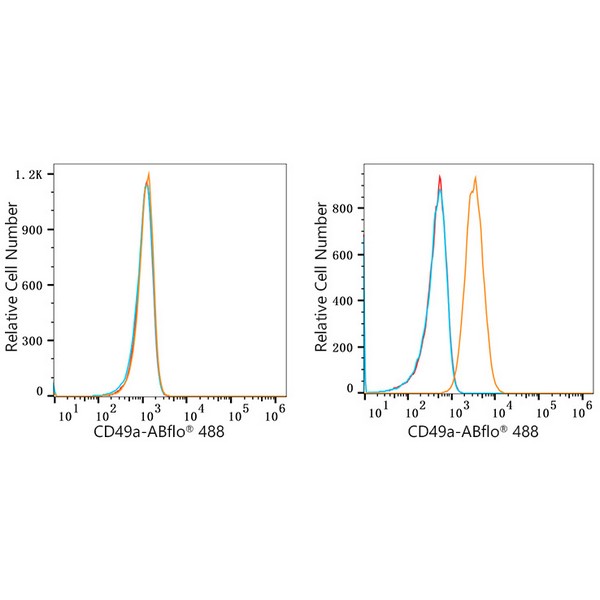 ABflo® 488 Rabbit anti-Human ITGA1/CD49a mAb (A22691) ABflo® 488 Rabbit anti-Human ITGA1/CD49a mAb (A22691)