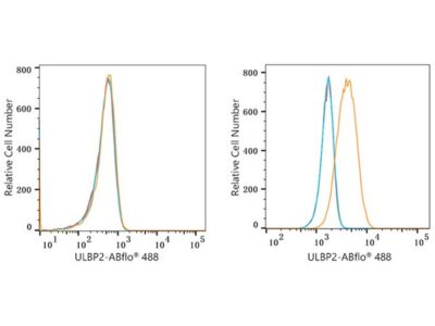ABflo® 488 Rabbit anti-Human ULBP2 mAb (A22694)
