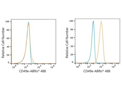 ABflo® 488 Rabbit anti-Human/Mouse Integrin alpha 5 (ITGA5/CD49e) mAb (A22771)