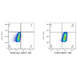 ABflo® 488 Rabbit anti-Human/Mouse Integrin alpha 5 (ITGA5/CD49e) mAb (Catalog Number: A22771) Abclonal