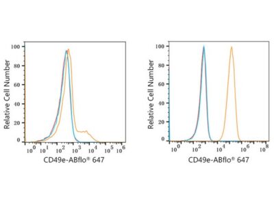 ABflo® 647 Rabbit anti-Human/Mouse Integrin alpha 5 (ITGA5/CD49e) mAb (A22772)