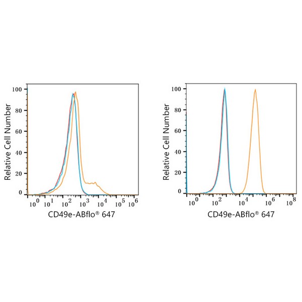 ABflo® 647 Rabbit anti-Human/Mouse Integrin alpha 5 (ITGA5/CD49e) mAb (A22772)