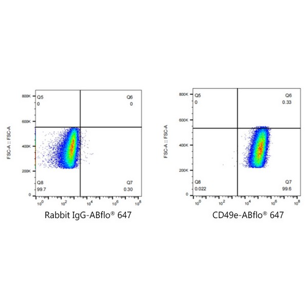 ABflo® 647 Rabbit anti-Human/Mouse Integrin alpha 5 (ITGA5/CD49e) mAb (Catalog Number: A22772) Abclonal