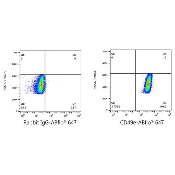 Abclonal ABflo® 647 Rabbit anti-Human/Mouse Integrin alpha 5 (ITGA5/CD49e) mAb (Catalog Number: A22772)