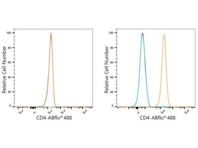ABflo® 488 Rabbit anti-Human/Monkey CD4 mAb (A22773)