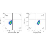 A22773: ABflo® 488 Rabbit anti-Human/Monkey CD4 mAb