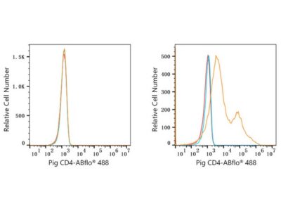 ABflo® 488 Rabbit anti-Pig CD4 mAb (A22774)
