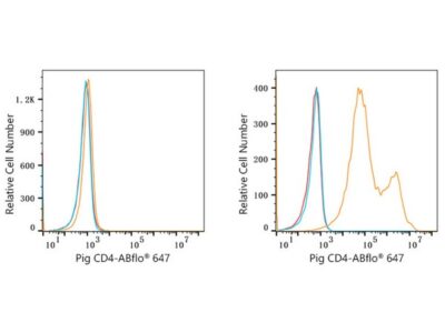 ABflo® 647 Rabbit anti-Pig CD4 mAb (A22775)