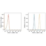 ABflo® 488 Rabbit anti-Goat IgG (Fc) fragment mAb (A22776)