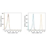 ABflo® 647 Rabbit anti-Goat IgG (Fc) fragment mAb (A22777)