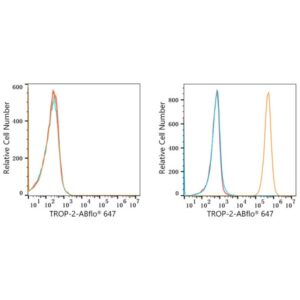 ABflo® 647 Rabbit anti-Goat IgG (Fc) fragment mAb (A22777)