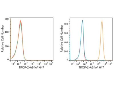 ABflo® 647 Rabbit anti-Goat IgG (Fc) fragment mAb (A22777)