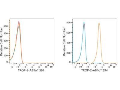 ABflo® 594 Rabbit anti-Goat IgG (Fc) fragment mAb (A22778)