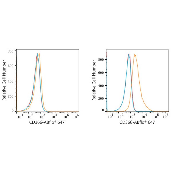 ABflo® 647 Rabbit anti-Mouse CD366 (TIM-3) mAb (A22779) ABflo® 647 Rabbit anti-Mouse CD366 (TIM-3) mAb (A22779)