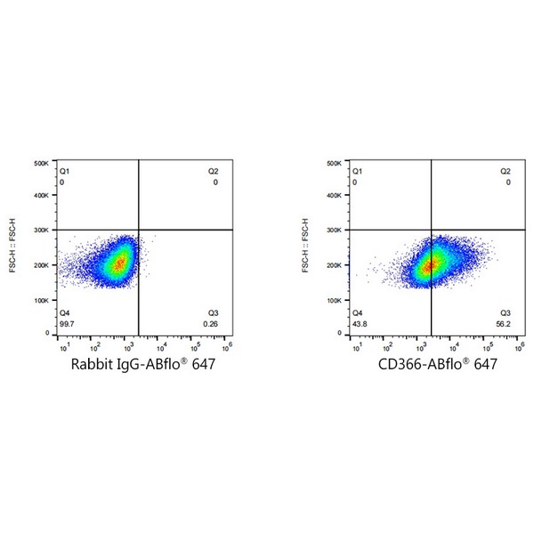 A22779: ABflo® 647 Rabbit anti-Mouse CD366 (TIM-3) mAb