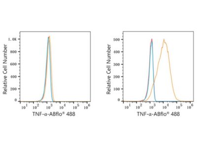ABflo® 488 Rabbit anti-Human TNF-α mAb (A22781)