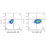 A22781: ABflo® 488 Rabbit anti-Human TNF-α mAb