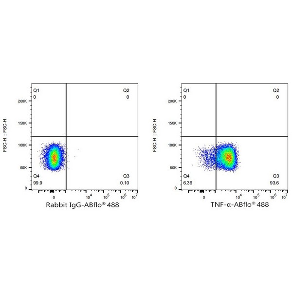 Abclonal ABflo® 488 Rabbit anti-Human TNF-α mAb (Catalog Number: A22781)