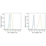 ABflo® 647 Rabbit anti-Human TNF-α mAb (A22782)
