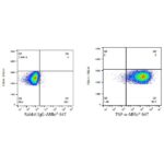 A22782: ABflo® 647 Rabbit anti-Human TNF-α mAb