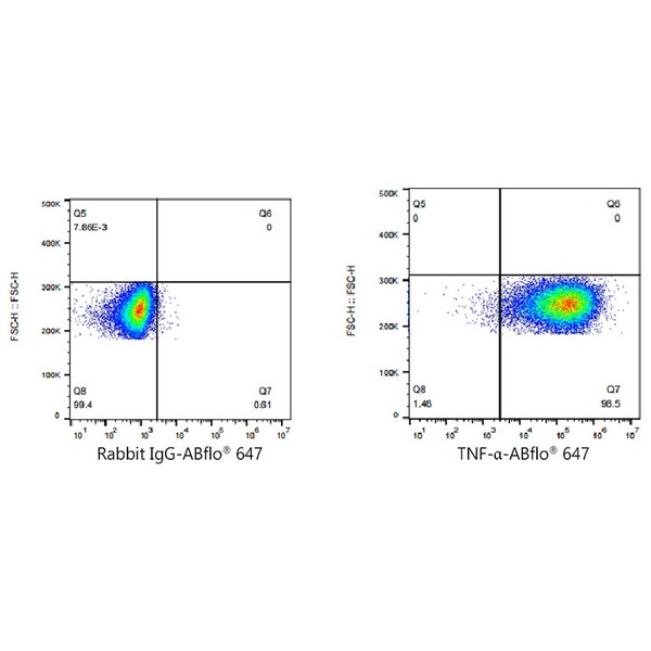 A22782: ABflo® 647 Rabbit anti-Human TNF-α mAb