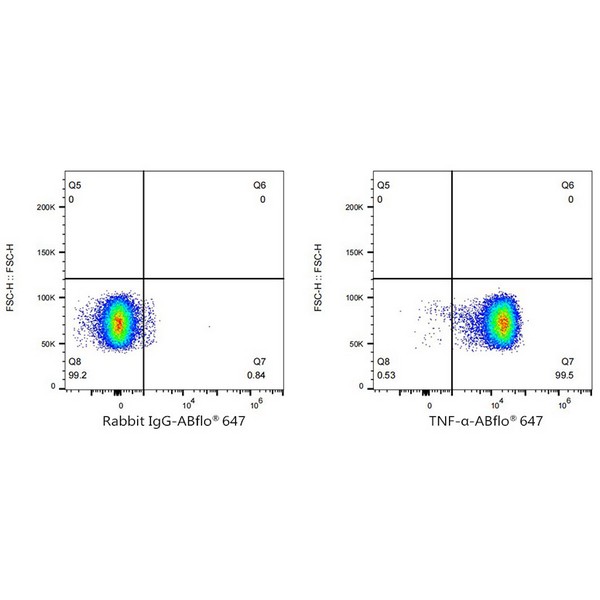 Abclonal ABflo® 647 Rabbit anti-Human TNF-α mAb (Catalog Number: A22782)