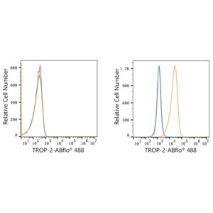 ABflo® 488 Rabbit anti-Goat IgG (Fab) fragment mAb (A22783)