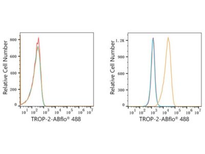 ABflo® 488 Rabbit anti-Goat IgG (Fab) fragment mAb (A22783)