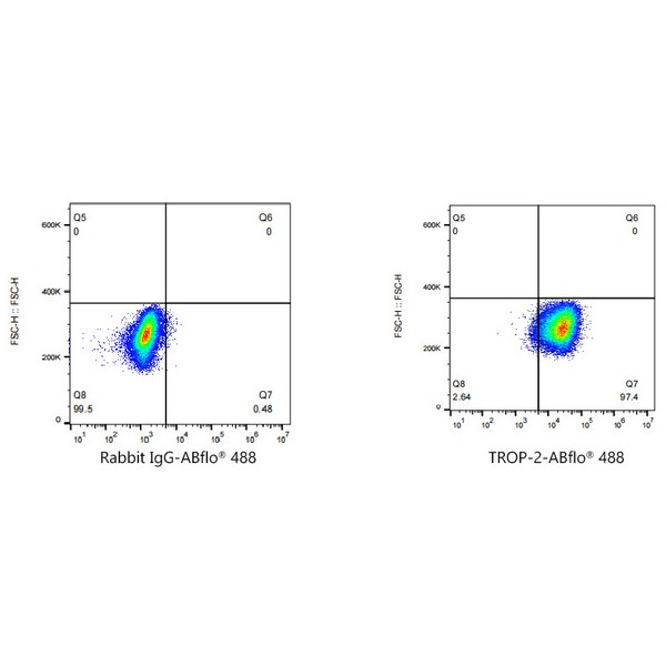 A22783: ABflo® 488 Rabbit anti-Goat IgG (Fab) fragment mAb
