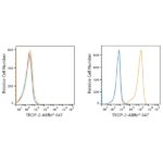 ABflo® 647 Rabbit anti-Goat IgG (Fab) fragment mAb (A22784)