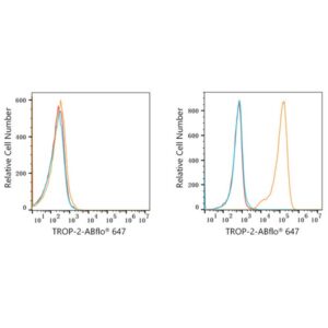 ABflo® 647 Rabbit anti-Goat IgG (Fab) fragment mAb (A22784)