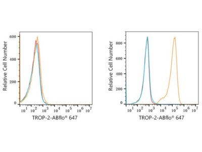 ABflo® 647 Rabbit anti-Goat IgG (Fab) fragment mAb (A22784)