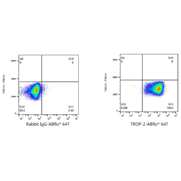 A22784: ABflo® 647 Rabbit anti-Goat IgG (Fab) fragment mAb