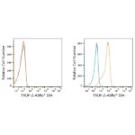 ABflo® 594 Rabbit anti-Goat IgG (Fab) fragment mAb (A22785)