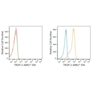 ABflo® 594 Rabbit anti-Goat IgG (Fab) fragment mAb (A22785)