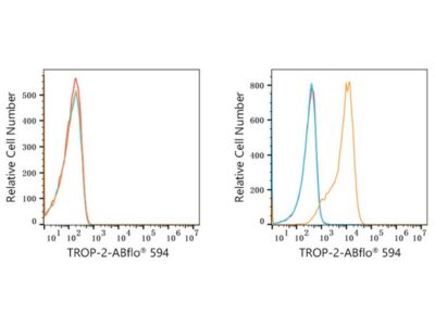 ABflo® 594 Rabbit anti-Goat IgG (Fab) fragment mAb (A22785)