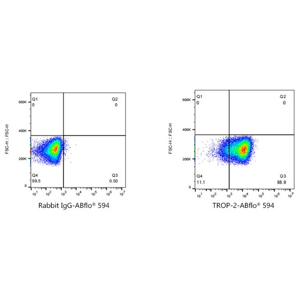 A22785: ABflo® 594 Rabbit anti-Goat IgG (Fab) fragment mAb