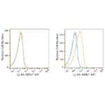 ABflo® 647 Rabbit anti-Mouse Ly-6A/E (Sca-1) mAb (A22787)