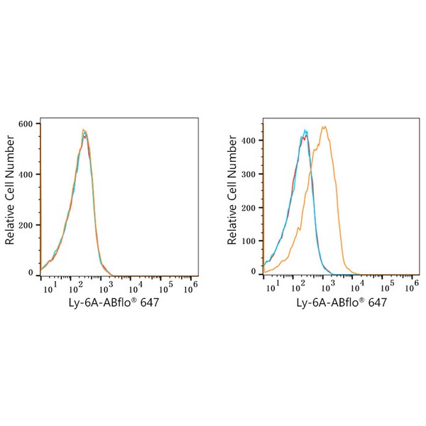 ABflo® 647 Rabbit anti-Mouse Ly-6A/E (Sca-1) mAb (A22787) ABflo® 647 Rabbit anti-Mouse Ly-6A/E (Sca-1) mAb (A22787)