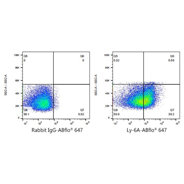 A22787: ABflo® 647 Rabbit anti-Mouse Ly-6A/E (Sca-1) mAb