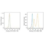 ABflo® 488 Rabbit anti-Human/Monkey CD19 mAb (A23008)