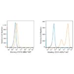 ABflo® 647 Rabbit anti-Human/Monkey CD19 mAb (A23009)