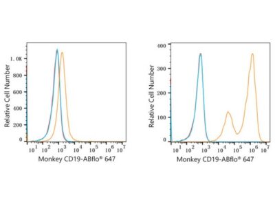 ABflo® 647 Rabbit anti-Human/Monkey CD19 mAb (A23009)