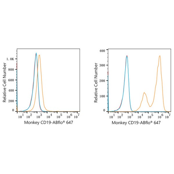 ABflo® 647 Rabbit anti-Human/Monkey CD19 mAb (A23009) ABflo® 647 Rabbit anti-Human/Monkey CD19 mAb (A23009)