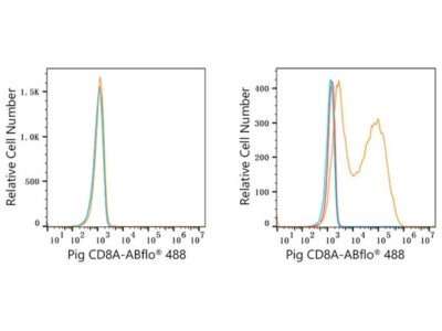 ABflo® 488 Rabbit anti-Pig CD8a mAb (A23010)