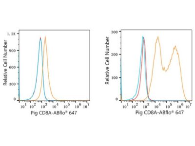ABflo® 647 Rabbit anti-Pig CD8a mAb (A23011)