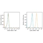 ABflo® 488 Rabbit anti-Human CD93 mAb (A23012)