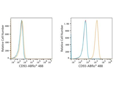 ABflo® 488 Rabbit anti-Human CD93 mAb (A23012)