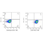 A23012: ABflo® 488 Rabbit anti-Human CD93 mAb